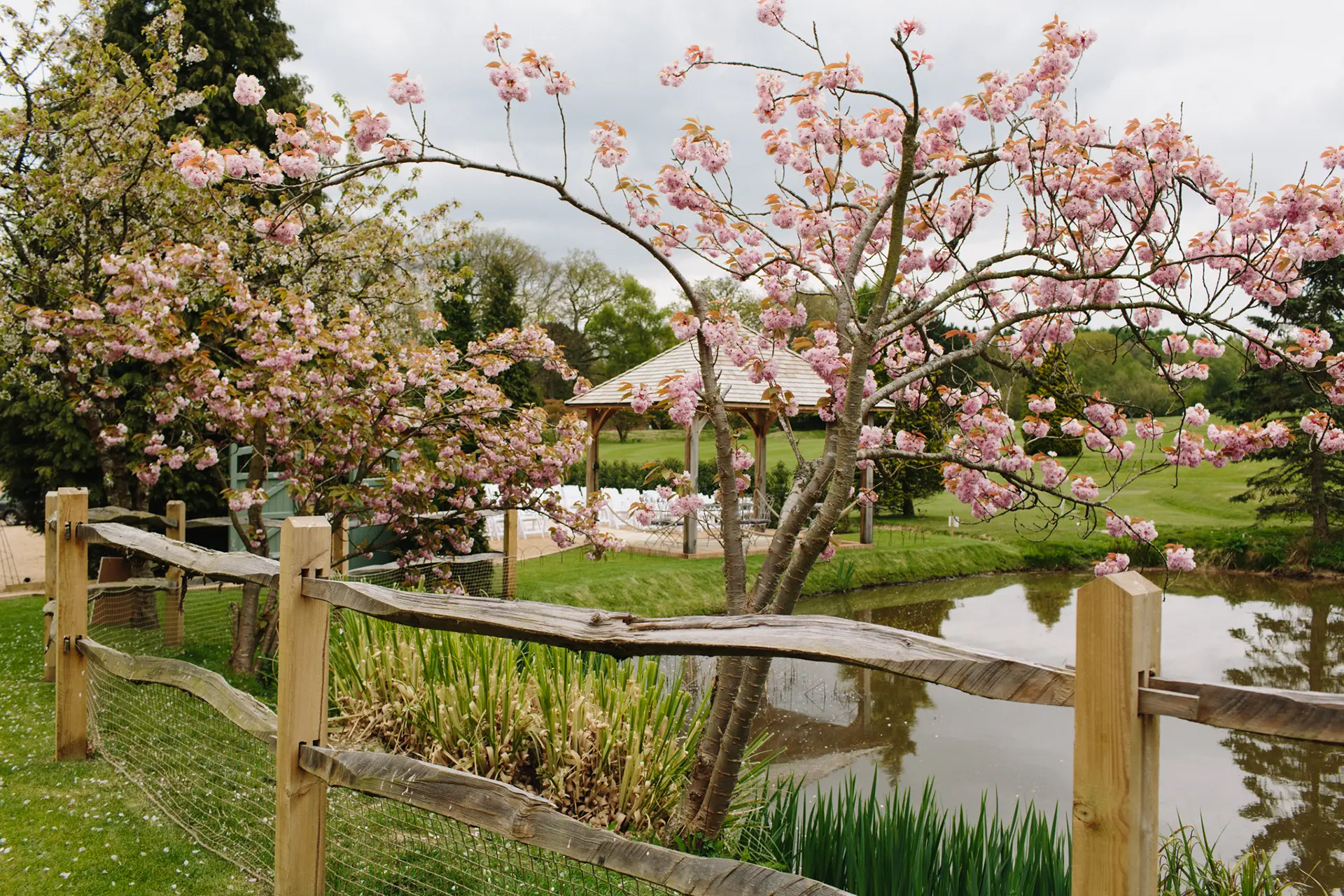 Brookfield Barn pink blossom tree